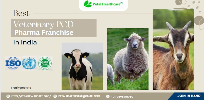 Best Veterinary PCD Pharma Franchise in India