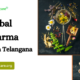 Top Herbal PCD Pharma Company in Telangana