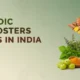 Ayurvedic Immunity Boosters Manufacturer in India