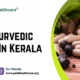 Top 10 Ayurvedic Companies In Kerala